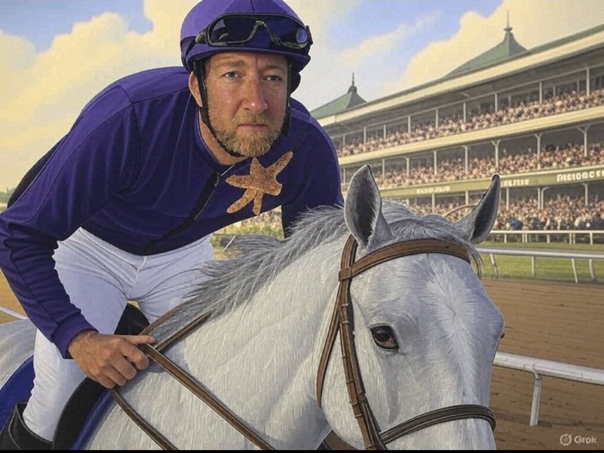 Go Go Greys Stable tweet media