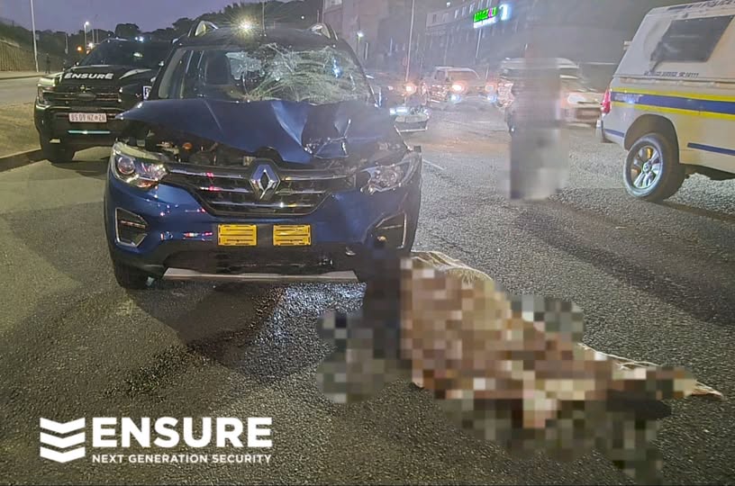 _ArriveAlive's tweet photo. Pedestrian dies after being struck by light motor vehicle in the Avoca area north of Durban
https://t.co/0k4fNizXeD
#ArriveAlive #PedestrianSafety #EnsureSecurity https://t.co/OyWTk0qDJ9