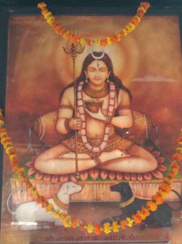 भूतसंघनायकं विशालकीर्तिदायकं
काशिवासलोकपुण्यपापशोधकं विभुम् ।
नीतिमार्गकोविदं पुरातनं जगत्पतिं
काशिकापुराधिनाथकालभैरवं भजे ॥