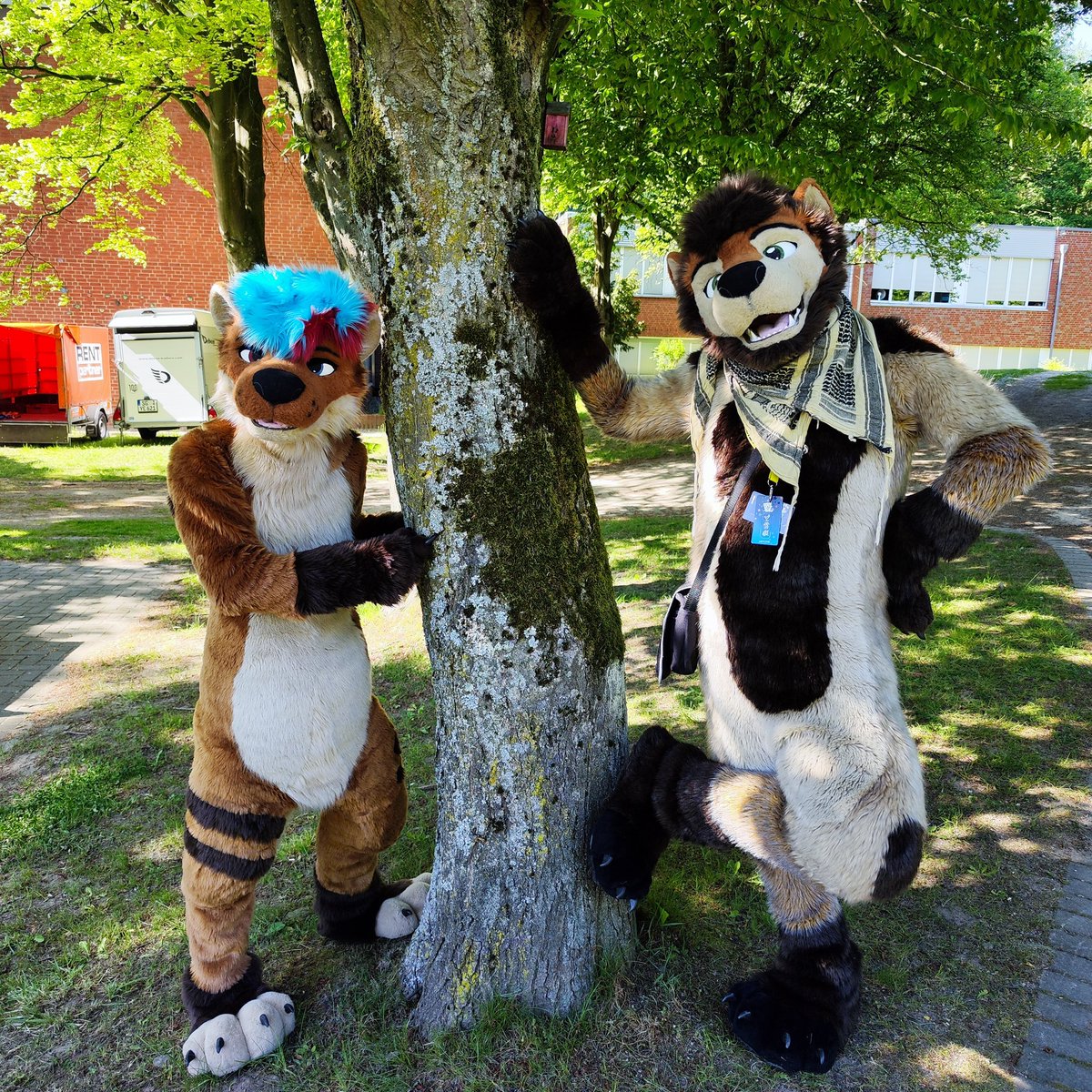 #WorldOtterDay 2025! 
Go and snug an Ott! 

📷<a href="/Zelzius_Celvin/">ℤelzius | 🦣 @Zelzius@ratatöskr.de</a>