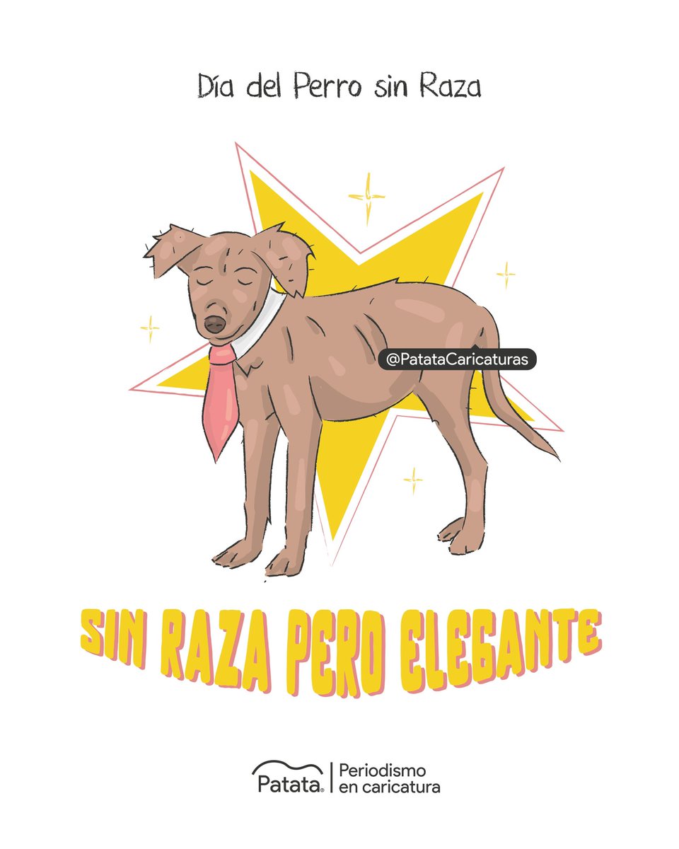 Adopta a un perrito sin raza pero elegante 🫶🏽✨
