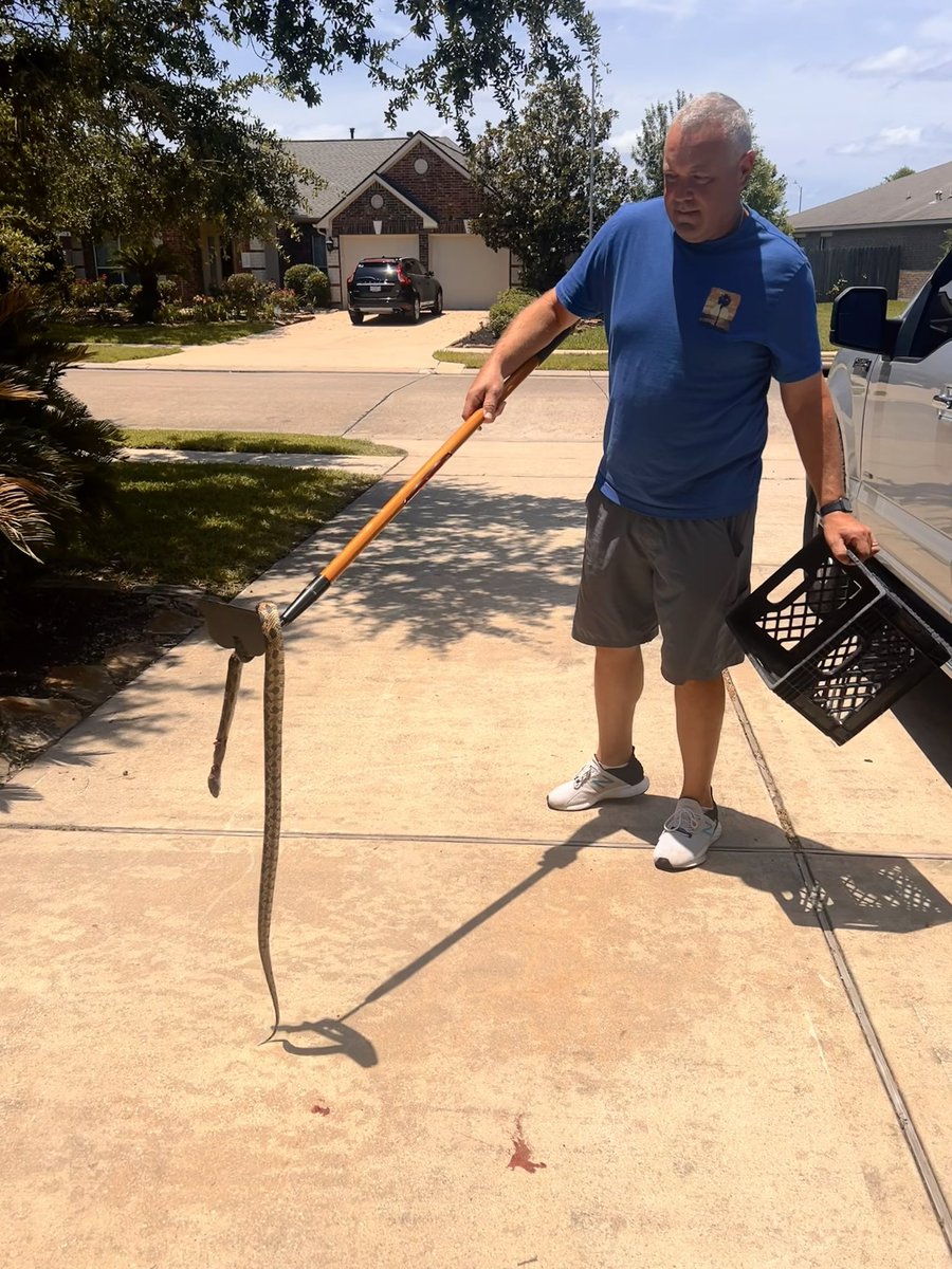 Kelly Kerlin tweet media