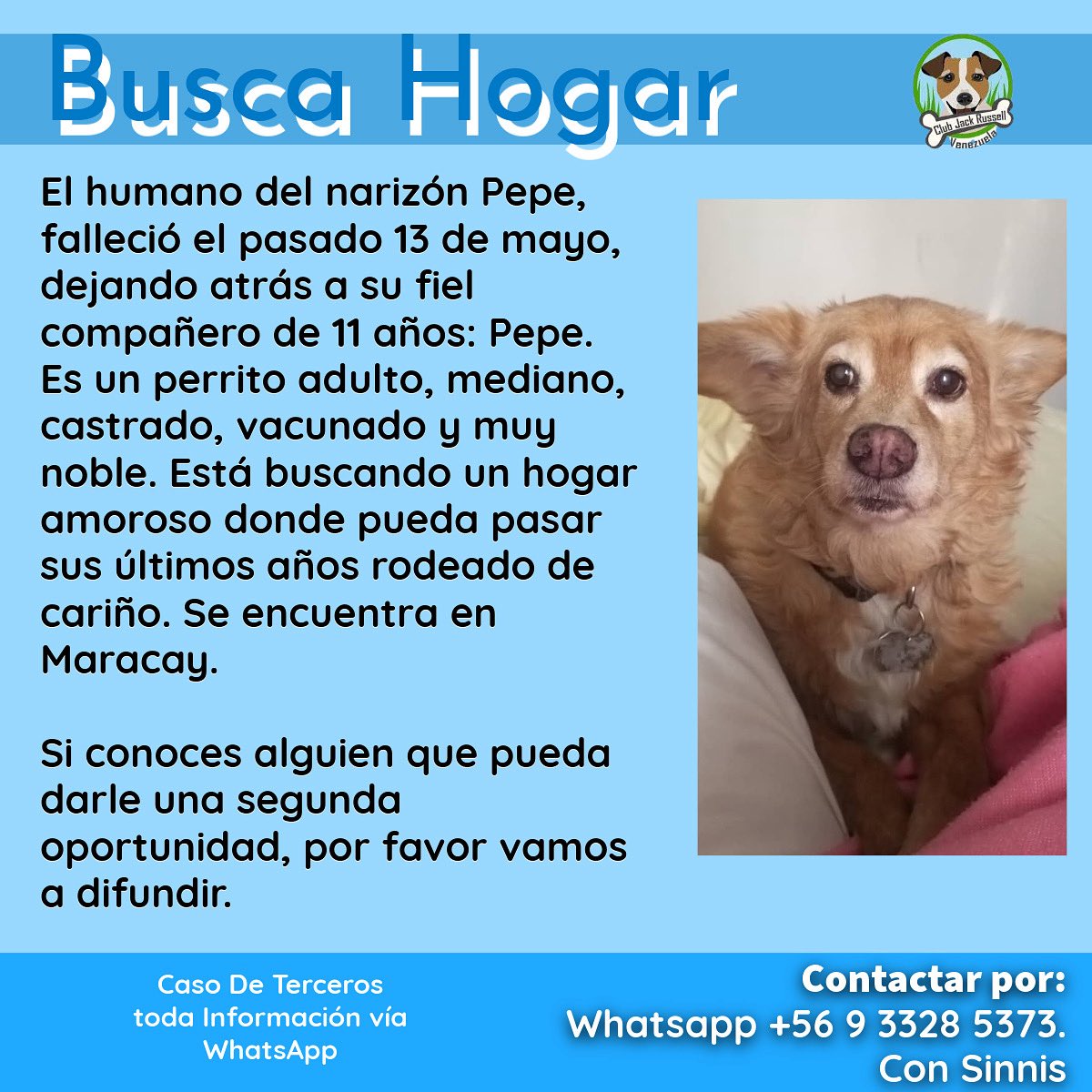 #BuscaHogar
El humano del narizón Pepe, falleció, dejando atrás a su narizón de 11 años, es mediano, castrado, vacunado y muy noble. Se encuentra en #Maracay.

#URGENTE darle una #segundaoportunidad,  vamos a #difundir.

Información vía WhatsApp
+569 3328 5373.
Con Sinnis