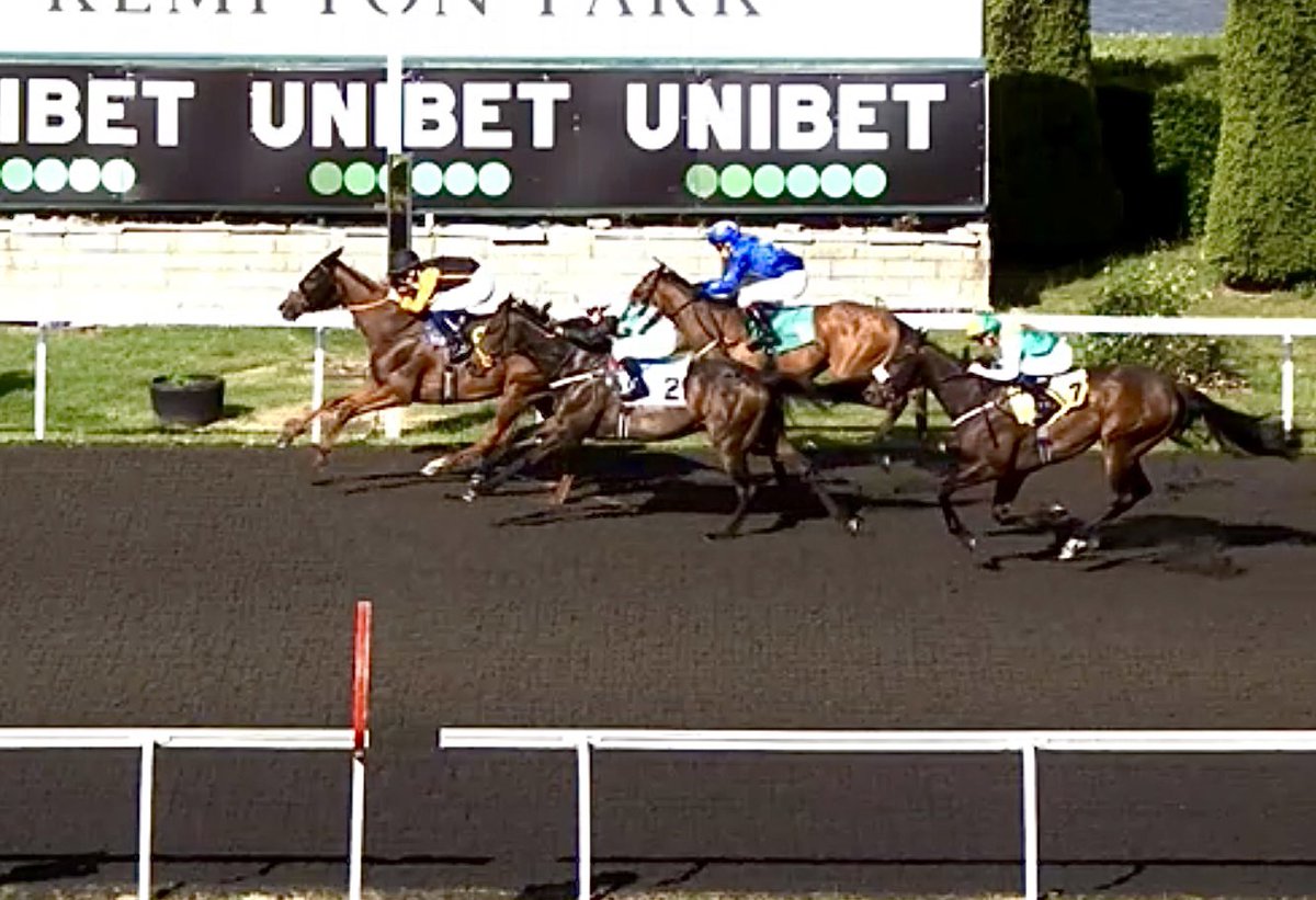 Nik D (@nikidoog) on Twitter photo A stellar performance from horse & jockey. Stella Hogan wins again under Mason Paetel, bringing a double on the day for <a href="/MickApplebyUK/">Mick Appleby Racing</a> in the <a href="/Horsewatchers1/">The Horse Watchers</a> colours A stellar performance from horse & jockey. Stella Hogan wins again under Mason Paetel, bringing a double on the day for <a href="/MickApplebyUK/">Mick Appleby Racing</a> in the <a href="/Horsewatchers1/">The Horse Watchers</a> colours