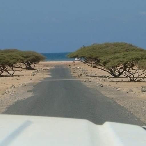 aoulied's tweet photo. Il etait une fois à Djibouti existait une plage appelé Doraleh  si beau si calme. Elle n'est pas loin de la ville,  pourtant, elle semble si loin. La piste tortueuse, la descente à flanc de montagne et, en guise de récompense, la plage qui s'offre à nos yeux. https://t.co/B1TlrpSpbk