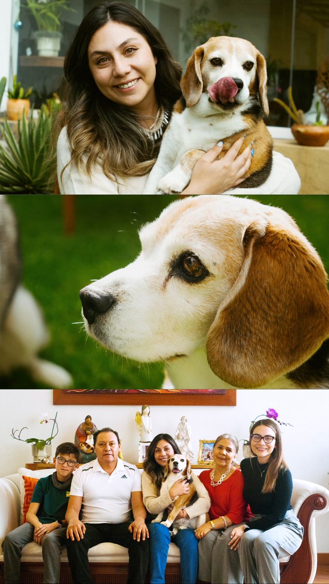 Quería que fueras eterno pero ya te requerían en el cielo mi pequeño❤️‍🩹✨vuela alto te amo con todo mi corazón🐾