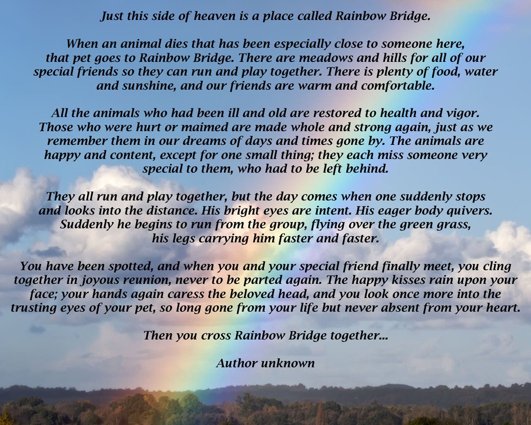 Lpowell588Lady's tweet photo. @brinkleberrypie @hollymaltese @beepee50 @gucci_pooh @Jaxcarly0612 @DogsOfx All our luvly furriends leave their pawprints ๐พ on our hearts...
#ItsNotGoodbye #UntilWeMeetAgain ๐ #ForeverInOurHearts #loveneverdies
#TheresANewStarInTheSkyTonight https://t.co/fc2GNyyT45