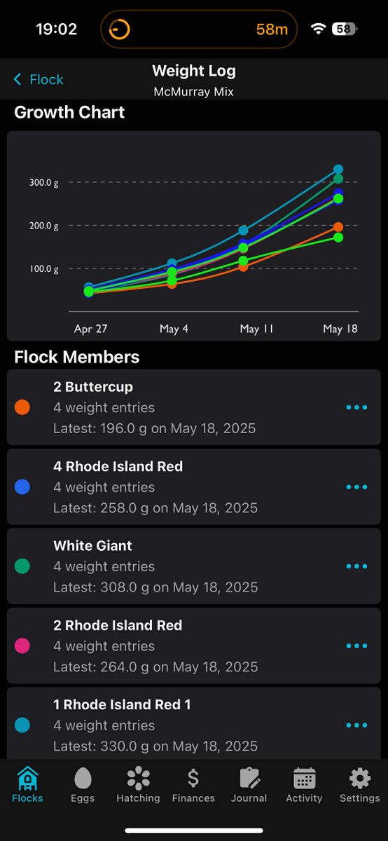 FlockstarApp's tweet photo. 🔥 New Feature Alert - Weight Log

You can now track individual bird weights over time with the new Weight Log feature. View and compare growth for all flock members in a single chart. Available now for all users in v4.7.0! 🙌

#PoultryFarming  #chickens #breeding https://t.co/smdqzhP5g6