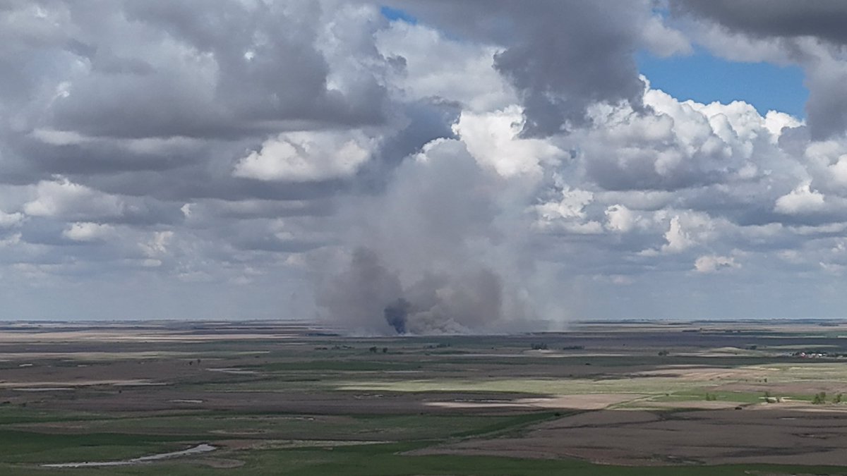 Rip to all the baby deer and pheasants as the Game Fish and park burn off more grassland