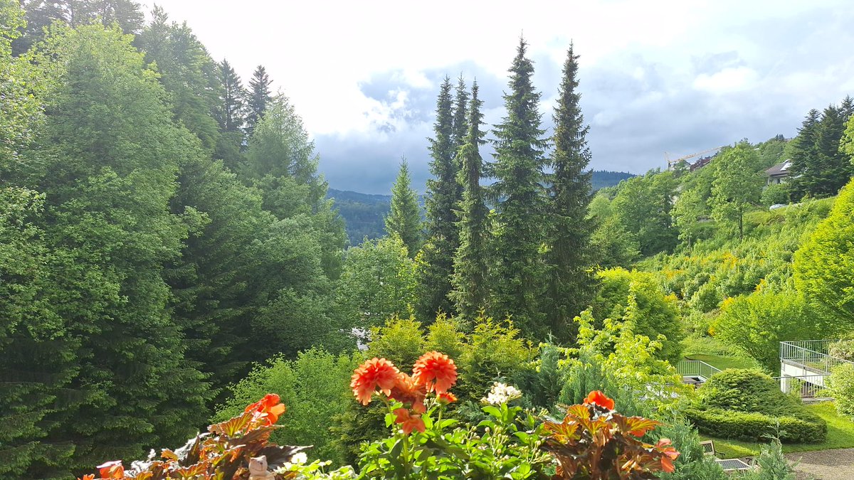 Guten Abend liebe Twitterfreunde, genießt den Einstieg in den Feiertag oder in das verlängerte Wochenende 🍷🤗💫

Hier braut sich was zusammen 😲