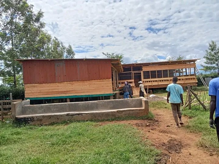 RightCohen's tweet image. Are you willing to start Goat farming?🐐🐐🐐🐐🐐🐐
This is a 100 Goat house plan for deeplitter system.
@Obed_Ishimwe22
#GoatFarming
#FutureDesign
#LetsFarmTogether