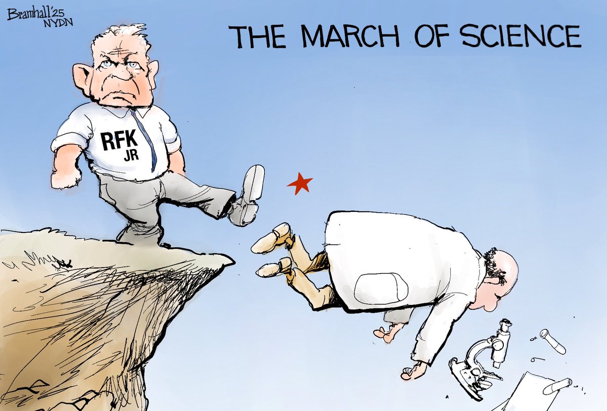 Cartoon