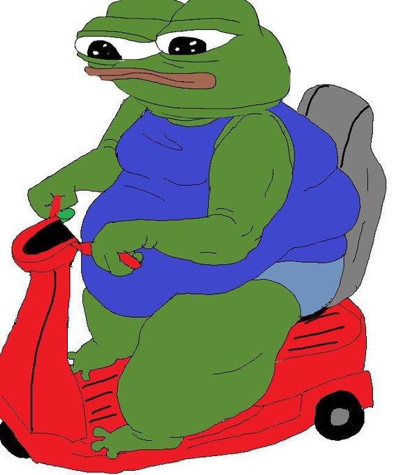 fat_pepe_coin's tweet photo. @gainzy222 Omw https://t.co/6IxYkmEDsa