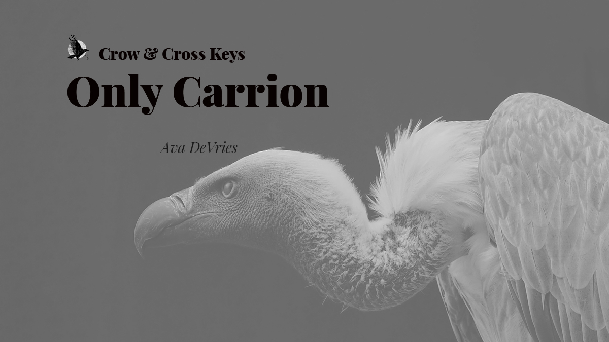 Crow & Cross Keys | SUBS OPEN (@crowkeys) on Twitter photo We have an affinity with carrion creatures. We respect them and maintain our distance, lest we be their next meal. Not too dissimilar from today’s flash...
“Only Carrion” by <a href="/AvaDeVries04/">Ava DeVries</a>
crowcrosskeys.com/2025/05/28/onl… We have an affinity with carrion creatures. We respect them and maintain our distance, lest we be their next meal. Not too dissimilar from today’s flash...
“Only Carrion” by <a href="/AvaDeVries04/">Ava DeVries</a>
crowcrosskeys.com/2025/05/28/onl…