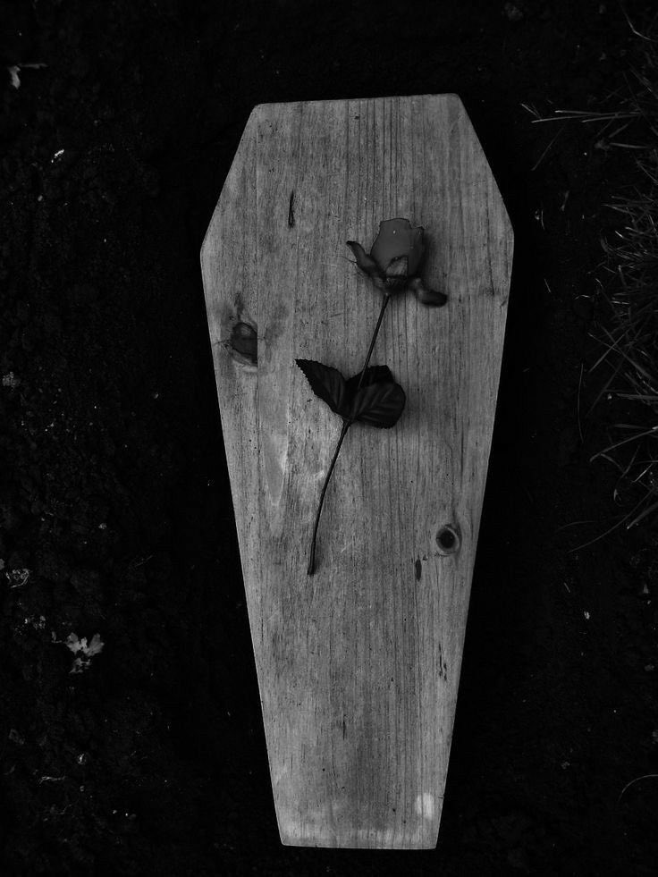 Beni elleriyle gömdü .. Başkalarına da çiçek ektim diye anlattı .. Biz seninle üzerine dokuz tahta örtülünce hesaplaşacağız ..