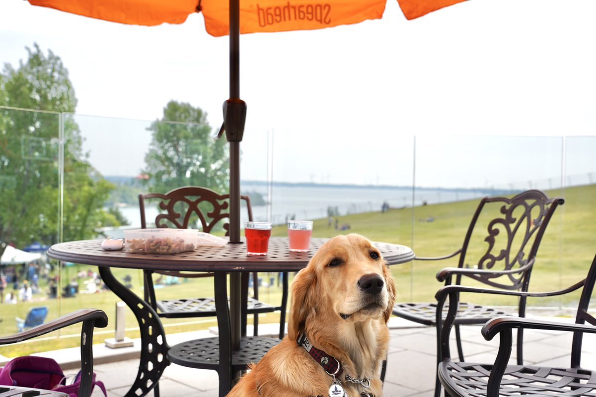 🐶🍻 Les chiens sont les bienvenus au Festival de la bière artisanale YGK!
Musique, bières, rencontres… et peut-être un nouvel ami à 4 pattes!
🎟️ forthenry.com/fr/event/festi… #YGK #BièreArtisanale #ChiensAdmis #AvecMonChien