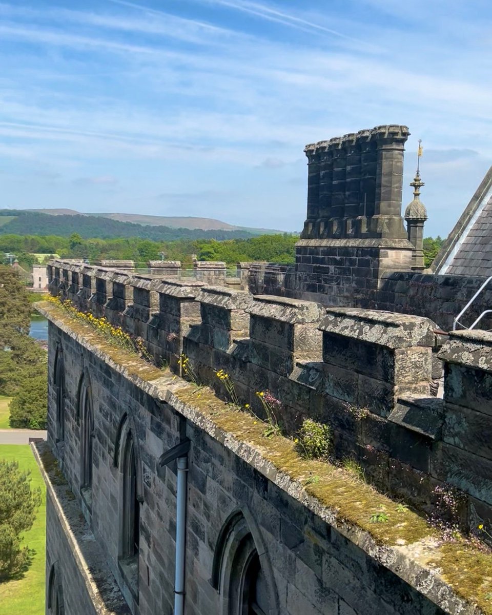 Some STUNNING shots from the beautiful House &amp; Garden Tour 📸🌸

Exciting additions for 2025 include a new route and 6 more rooms to explore in the House! 🏰 🗺️

Book your 2-hour guided tour 👉altontowers.visitlink.me/p1zJpI