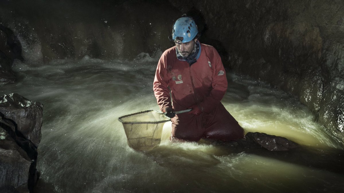 Carlos Lasso tweet media