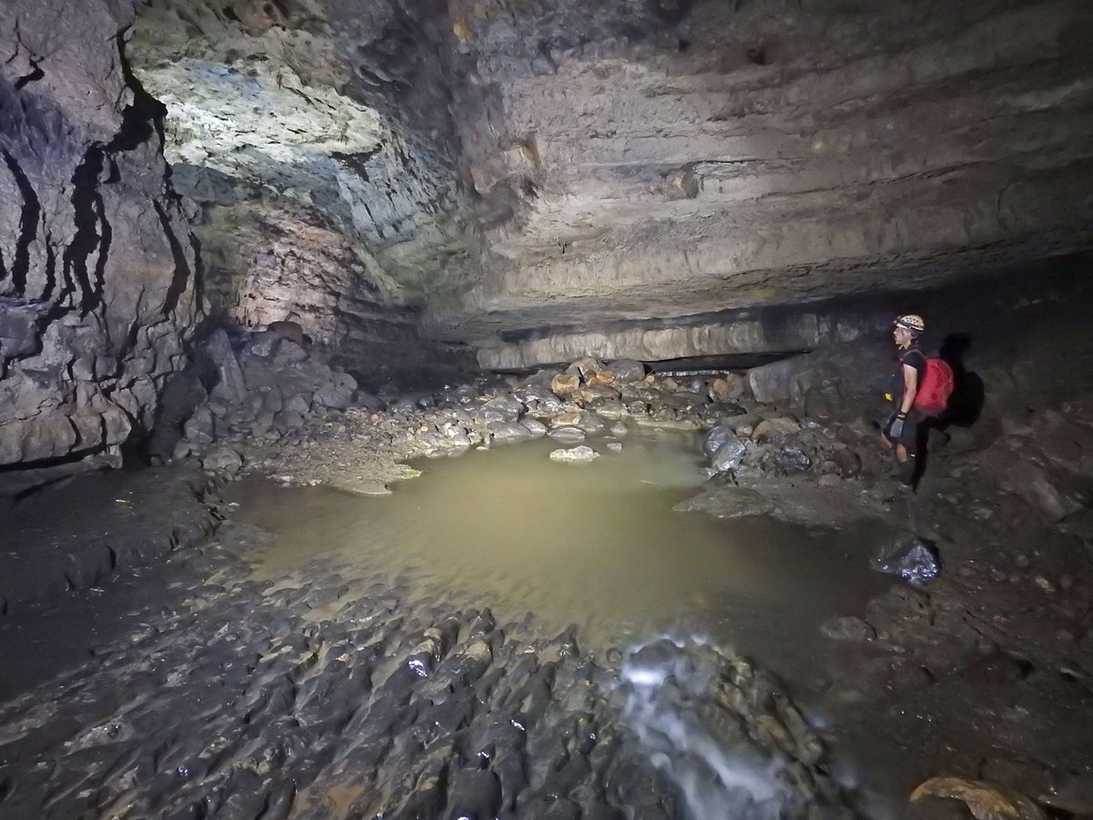 Ecología Macroinvertebrados acuáticos cavernícolas en 35 cuevas. Alta diversidad y patrones geográficos y ecológicos por altitud, Provincias y Regiones Espeleológicas. Pronto 📕Biodiversidad cavernícola de Colombia <a href="/U_ElBosque/">Universidad El Bosque</a> <a href="/inst_humboldt/">Instituto Humboldt</a> <a href="/Biolocristian/">Cristian Enrique Granados Martínez</a>