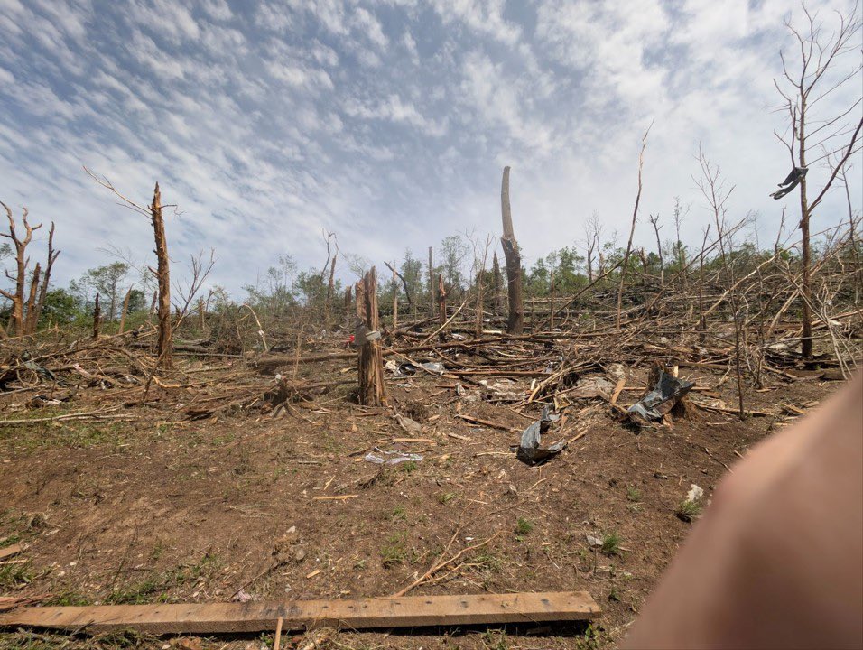 This INSANE tree damage in the forest west of London, Kentucky just got rated EF4 170 mph