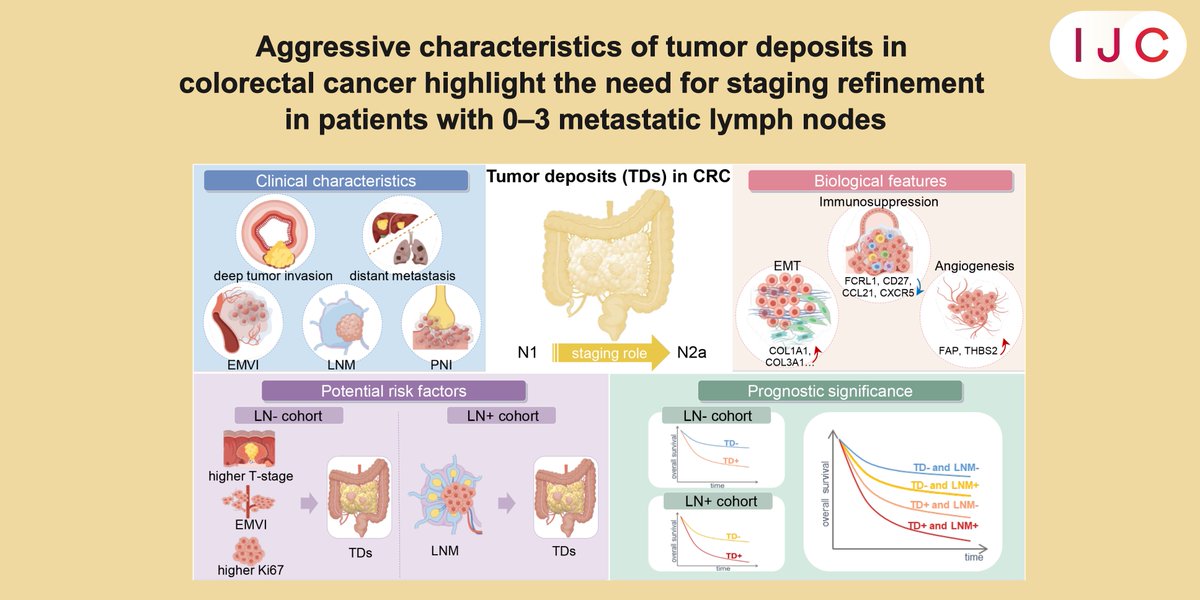 NOW ONLINE!

New research shows that tumor deposits in #ColorectalCancer signal a more aggressive disease and worse prognosis, suggesting their inclusion for accurate CRC staging.

🔒 FULL ACCESS

➡️ doi.org/10.1002/ijc.35…