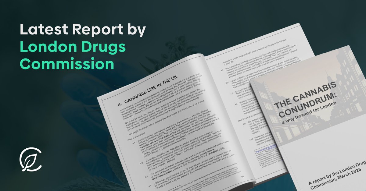 Curaleaf International welcomes the London Drugs Commission’s landmark report calling for a more evidence-based, public health-led approach to cannabis in the UK.

We agree: no one should be criminalised for personal use—especially when managing medical conditions. But