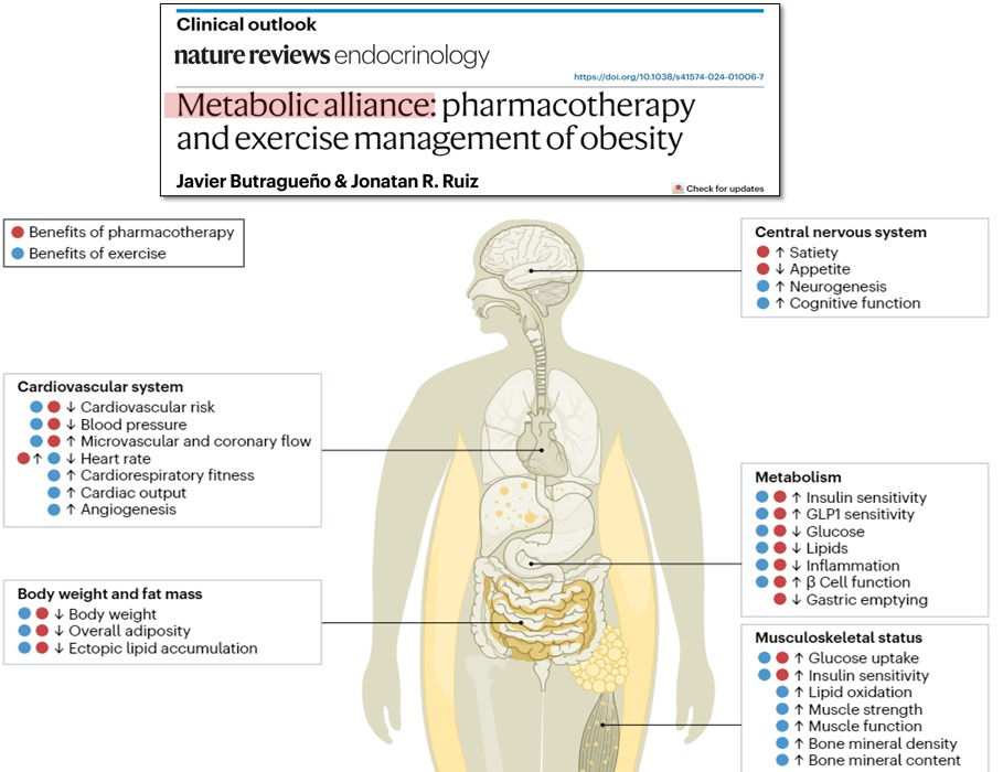 Ash Paul (@pash22) on Twitter photo Metabolic alliance: pharmacotherapy and exercise management of obesity
nature.com/articles/s4157… via <a href="/javierbutra/">🟡 J. Butragueño, PhD</a> et al Metabolic alliance: pharmacotherapy and exercise management of obesity
nature.com/articles/s4157… via <a href="/javierbutra/">🟡 J. Butragueño, PhD</a> et al