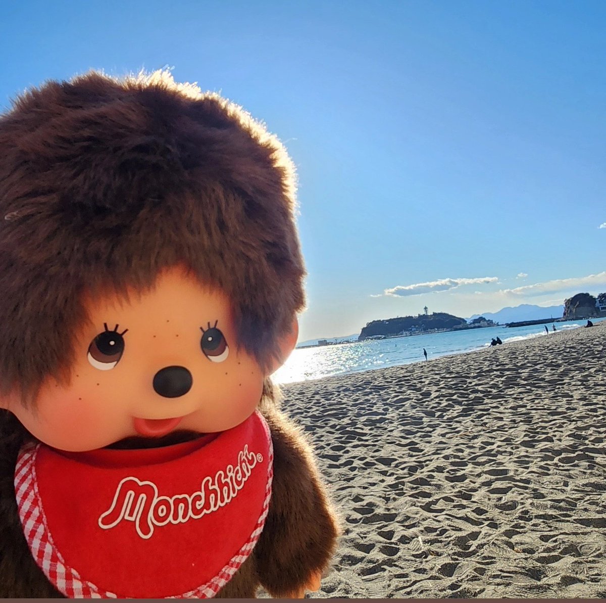10Yukiko03's tweet photo. @monchhichi126 #モンチッチと巡るアルバム
#七里ヶ浜海岸
#鶴岡八幡宮
#Potatis #ポタティス
#ロマンスカー https://t.co/8G6RjotpGD