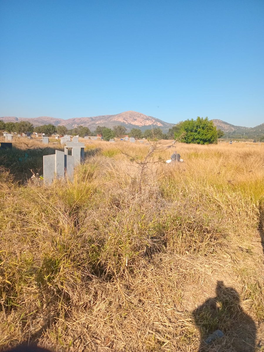 RustenburgLM's tweet photo. 📌Before &amp; After Pictures : Rietvlei Cemetery

Before: Overgrown and untidy
After: Grass trimmed and grounds cleaned

RLM continues to restore dignity through clean, well-kept public spaces.
#CityinAction #RietvleiCemetery #AcceleratedDelivery #MyCityMyResponsibilty https://t.co/Z9DiBN3GnV