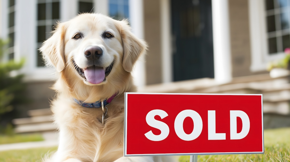 One of the most critical aspects of a real estate transaction is the escrow process, and for FSBO sellers, understanding how escrow works is essential.  #RealEstate #HousingMarket #InterestRates #MortgageLoans #Covina #Escrows #Escrow bit.ly/3SwRZ6B