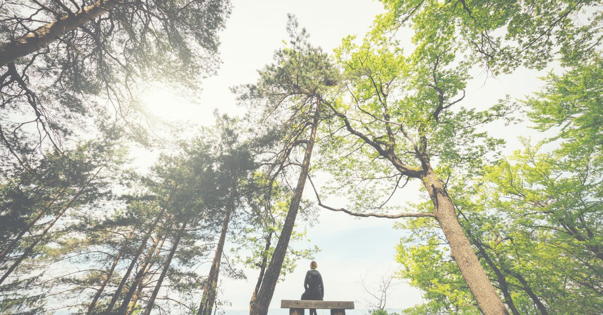 🌿 Mindfulness and Self-Help Books to Guide Your Journey 🌿

In the hustle of everyday life, finding stillness can feel impossible—but it’s one of the most powerful gifts you can give yourself. 💛

📖 Get the full list of mindful reads here → littleinfinite.com/mindfulness-an…