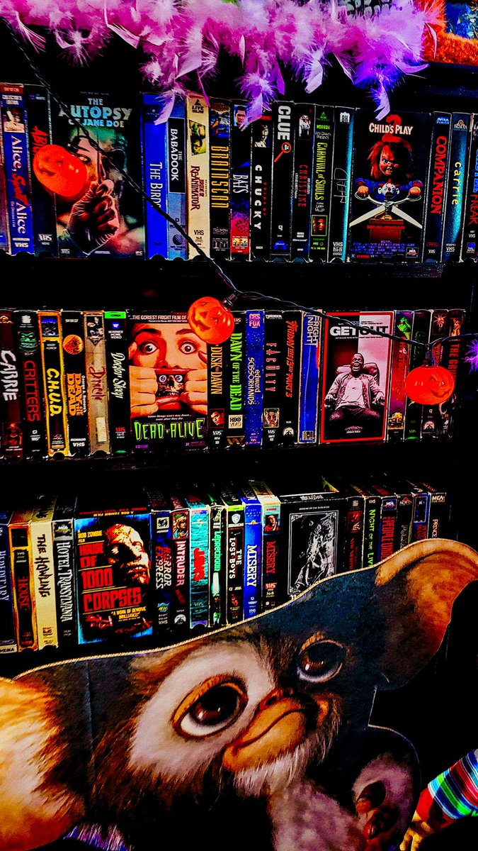 just a girl and her vhs shelf <3