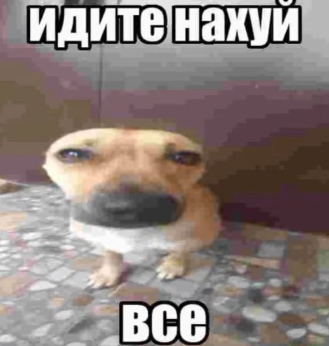 treschenko24's tweet image. Никто: 

Абсолютно никто:

Тревожник, словивший мысль, что никому не нужен: