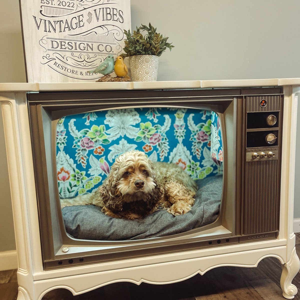 cattledoggo's tweet image. Sorry but not sorry! But people who ruin beautiful pieces of history like these televisions from the 1960s and older disgust me.
