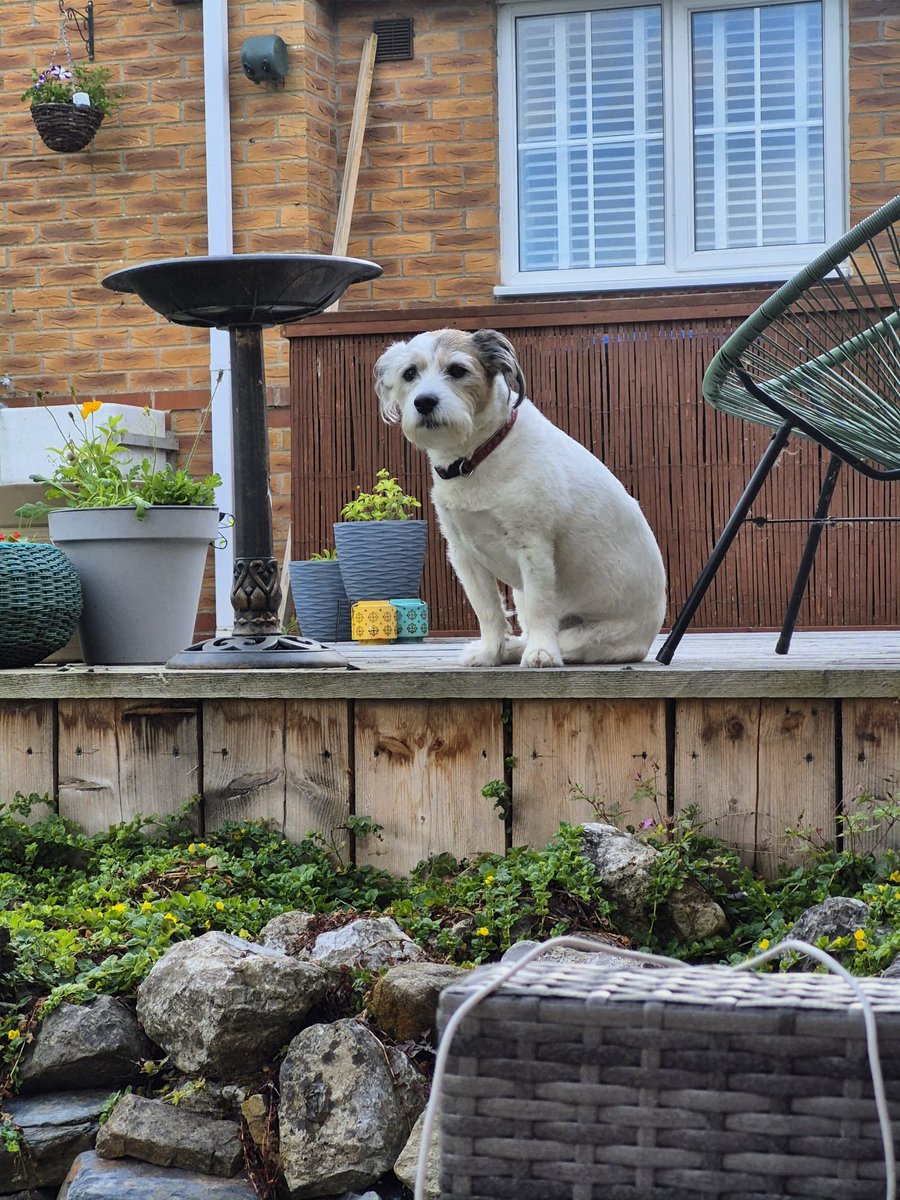 The bird bath and me 🥰