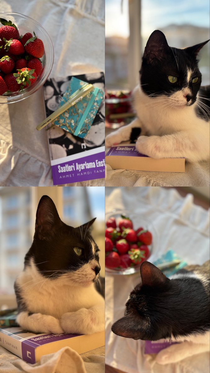 Günün en güzel saatleri 😻