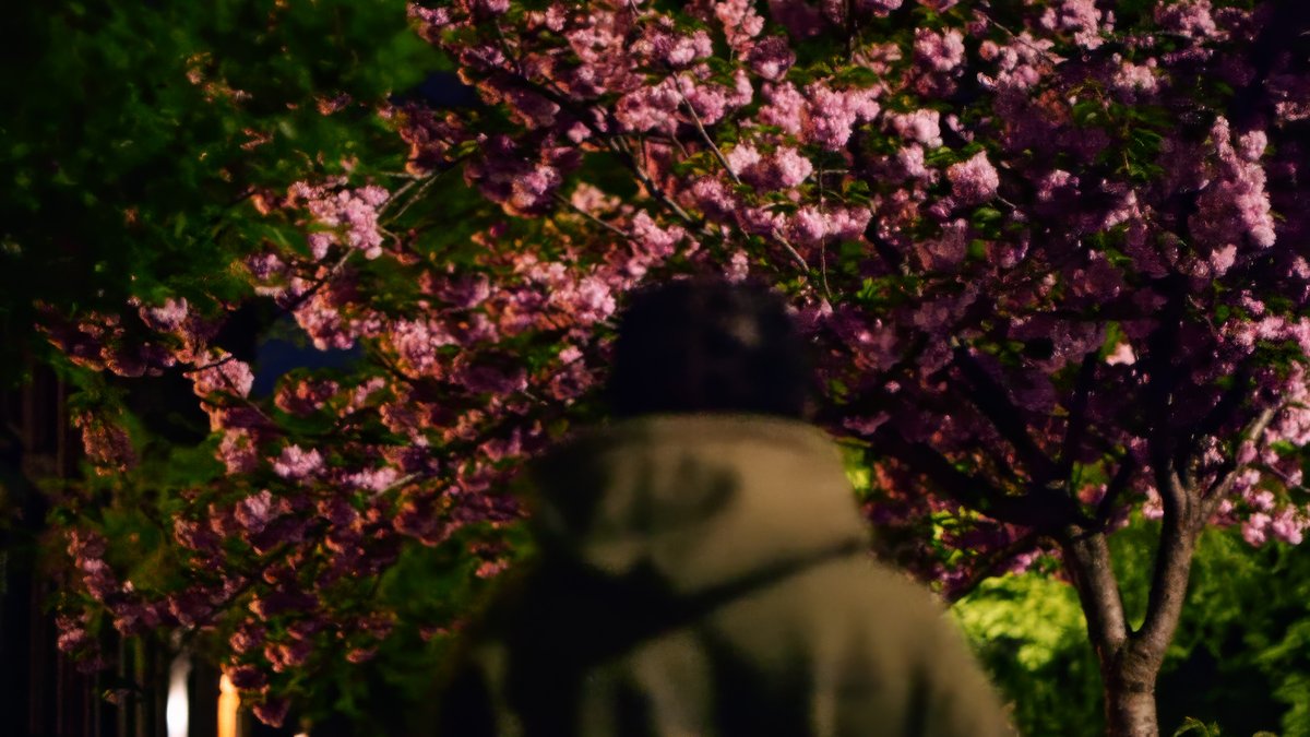 Backwoodz Studioz tweet media