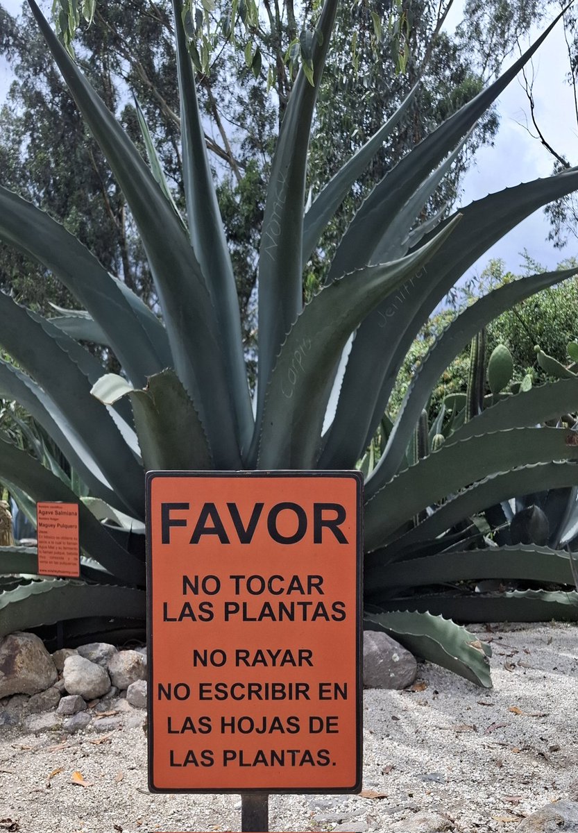 A Nancy Jennifer Carpio díganle que atentó contra una planta inocente en un lugar en el que es prohibido rayar las plantas.  
Hagamos lo virar para que aprenda a respetar la naturaleza.
Gracias por el RT