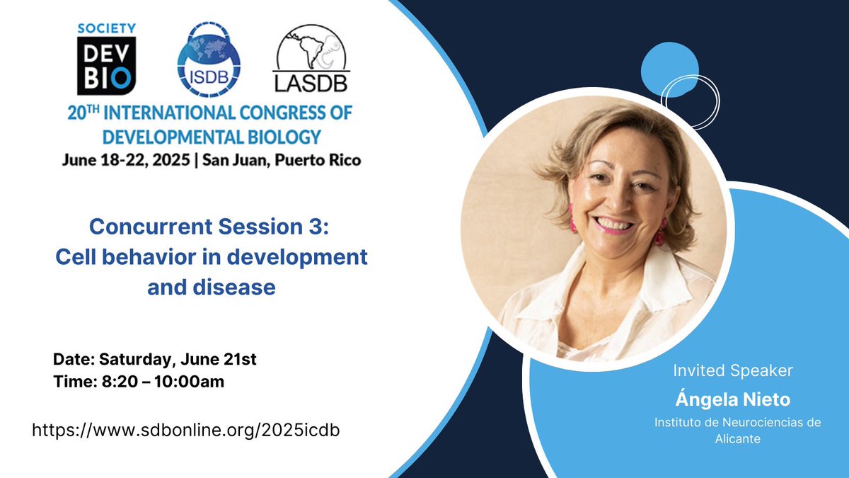 Society for Developmental Biology (@socdevbio) on Twitter photo 🔈 Ángela Nieto <a href="/NietoAngela/">Angela Nieto</a>, invited speaker at #ICDB2025, is renowned for her groundbreaking work on EMT (epithelial-to-mesenchymal transition).
Her research connects embryonic development and cancer biology, illuminating how cells change identity. 🔄🧫🧪 🔈 Ángela Nieto <a href="/NietoAngela/">Angela Nieto</a>, invited speaker at #ICDB2025, is renowned for her groundbreaking work on EMT (epithelial-to-mesenchymal transition).
Her research connects embryonic development and cancer biology, illuminating how cells change identity. 🔄🧫🧪
