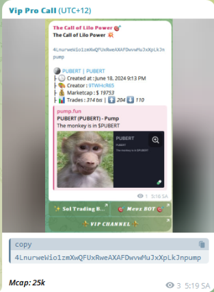Bunny_Crypto0's tweet photo. $PUBERT #PUBERT 
Ca:  4LnurweWio1zmXwQFUxRweAXAFDwvwMuJxXpLkJnpump
Join private channel and earn profit to wallet.
Prv:  https://t.co/Kkvb2GmWuA https://t.co/P8CCmmLTzK
