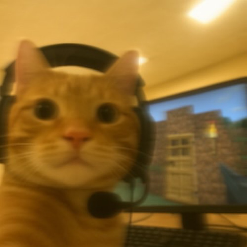 Minato tweet media