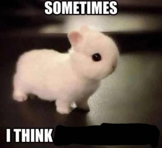 emma 🐇 tweet media