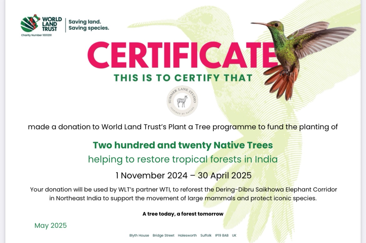 Jennifer Combes - Summer Lane Studio - tweet media