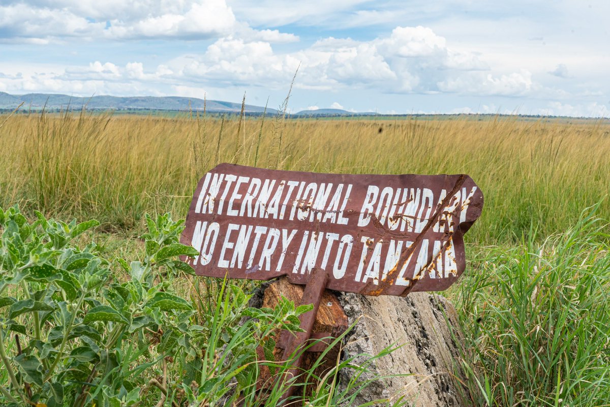 nsamila's tweet photo. Nature doesn’t recognise borders. It doesn’t draw lines.
Animals don’t carry passports—so why should the stories I tell or the photographs I take?
Here, the Serengeti 🇹🇿becomes the Maasai Mara🇰🇪.
The land stays wild. Only the names change.
#Serengeti #MasaMara #Kenya #Tanzania #Africa #Nature #Wild #PhotographersLife #StoryTeller