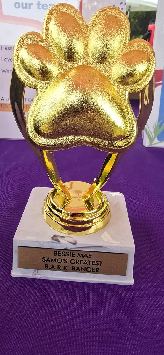 SamoFund's tweet photo. And the award goes to, Bessie Mae!
Congrats to Bessie Mae, the winner of the Best B.A.R.K. Ranger trophy. You're the tops, Bessie
#barkrangers #usbarkrangers #santamonicamountains #samofund https://t.co/U8Rzo2r2UZ