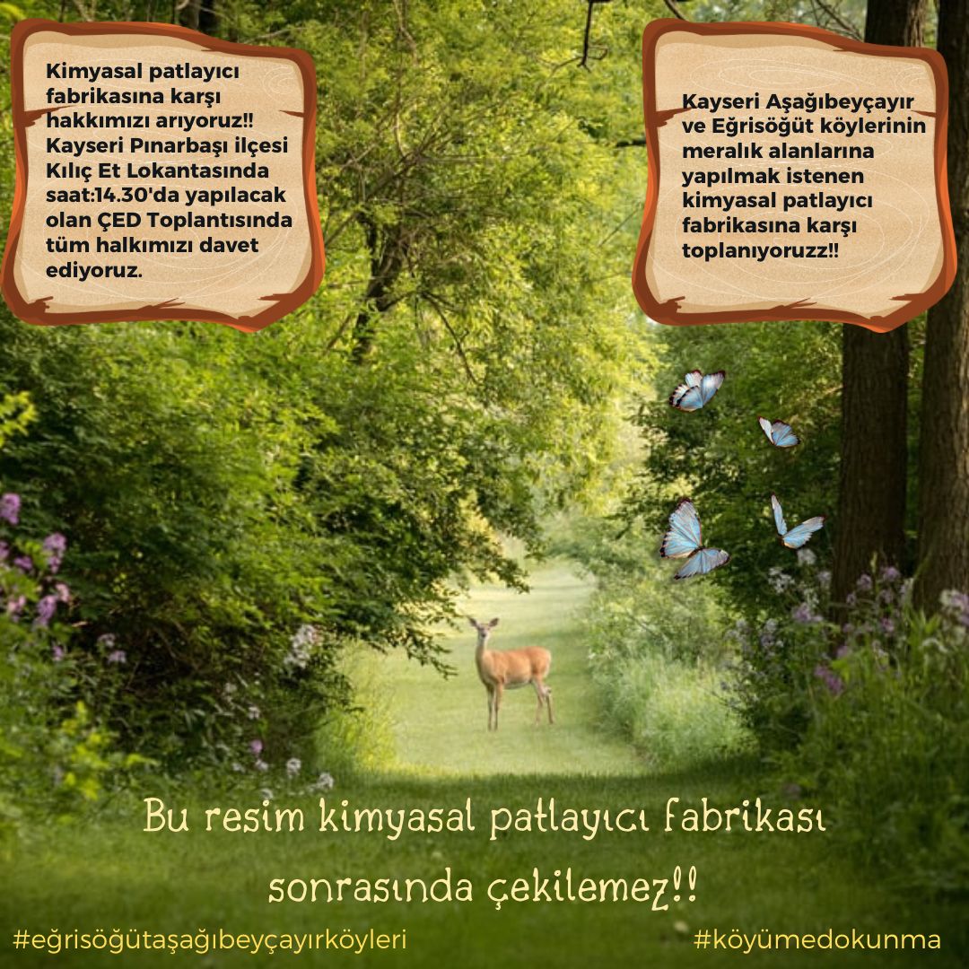 fatihbostan3's tweet photo. #patlayıcımaddeistemiyoruz #köyümedokunma #eğrisöğütaşağıbeyçayırköyleri
@kayserivaliligi @kayseribsb @csbgovtr @gokmen_cicek_ @temavakfi @Kayseriradartv https://t.co/9pD8LCjHdV