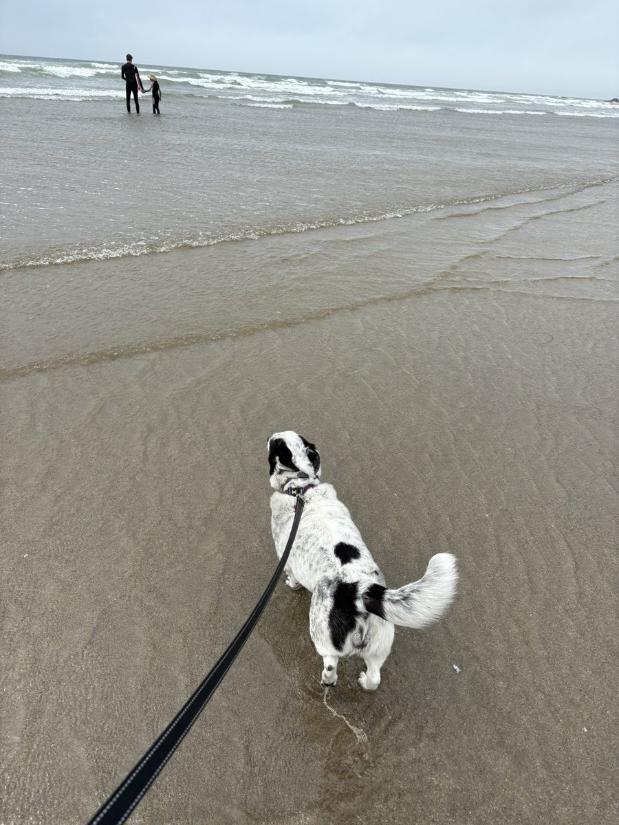 Litsa_stevens's tweet image. Pals I’m on holiday and loving it xx