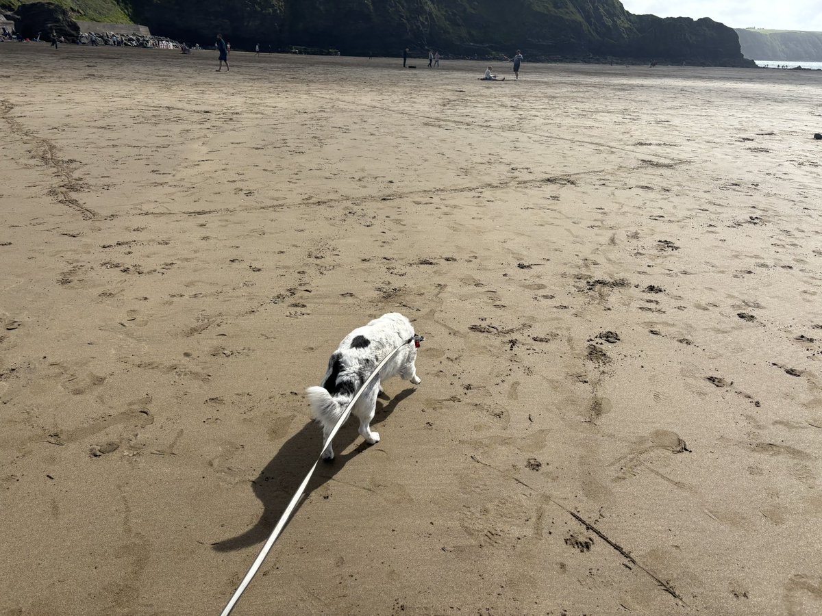 Litsa_stevens's tweet image. Pals I’m on holiday and loving it xx