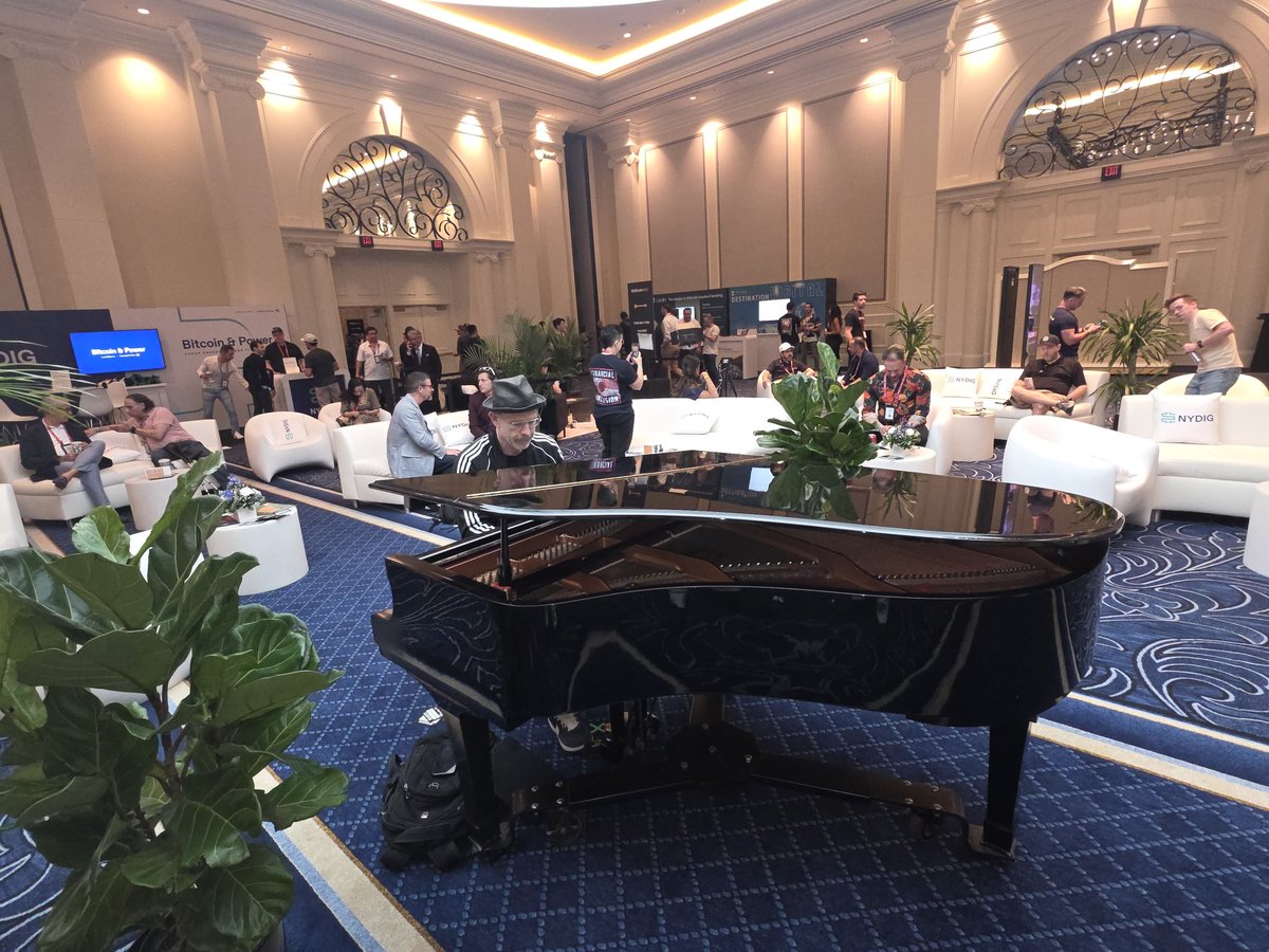 Miskocrypto's tweet photo. @pianomattyb The Master back at it on Day 2. https://t.co/8Ab46Xge95