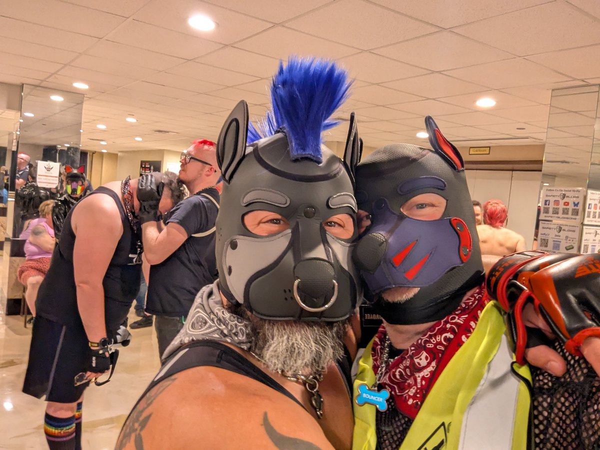 Bouncer.dog on bsky 🔜 COG A/B tweet media